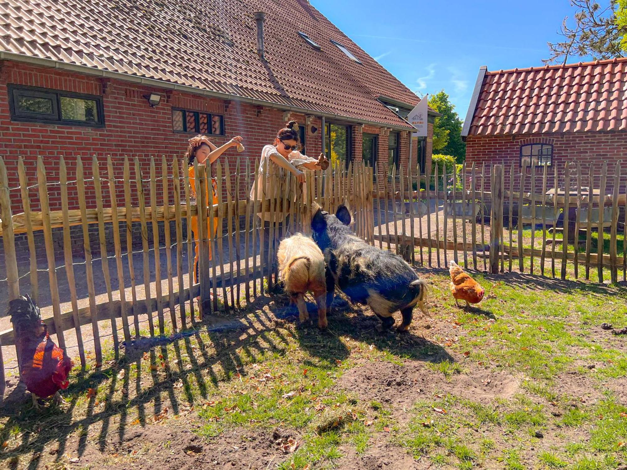 Gastenverblijf In Boerderij In Oost-Groningen Wedde エクステリア 写真